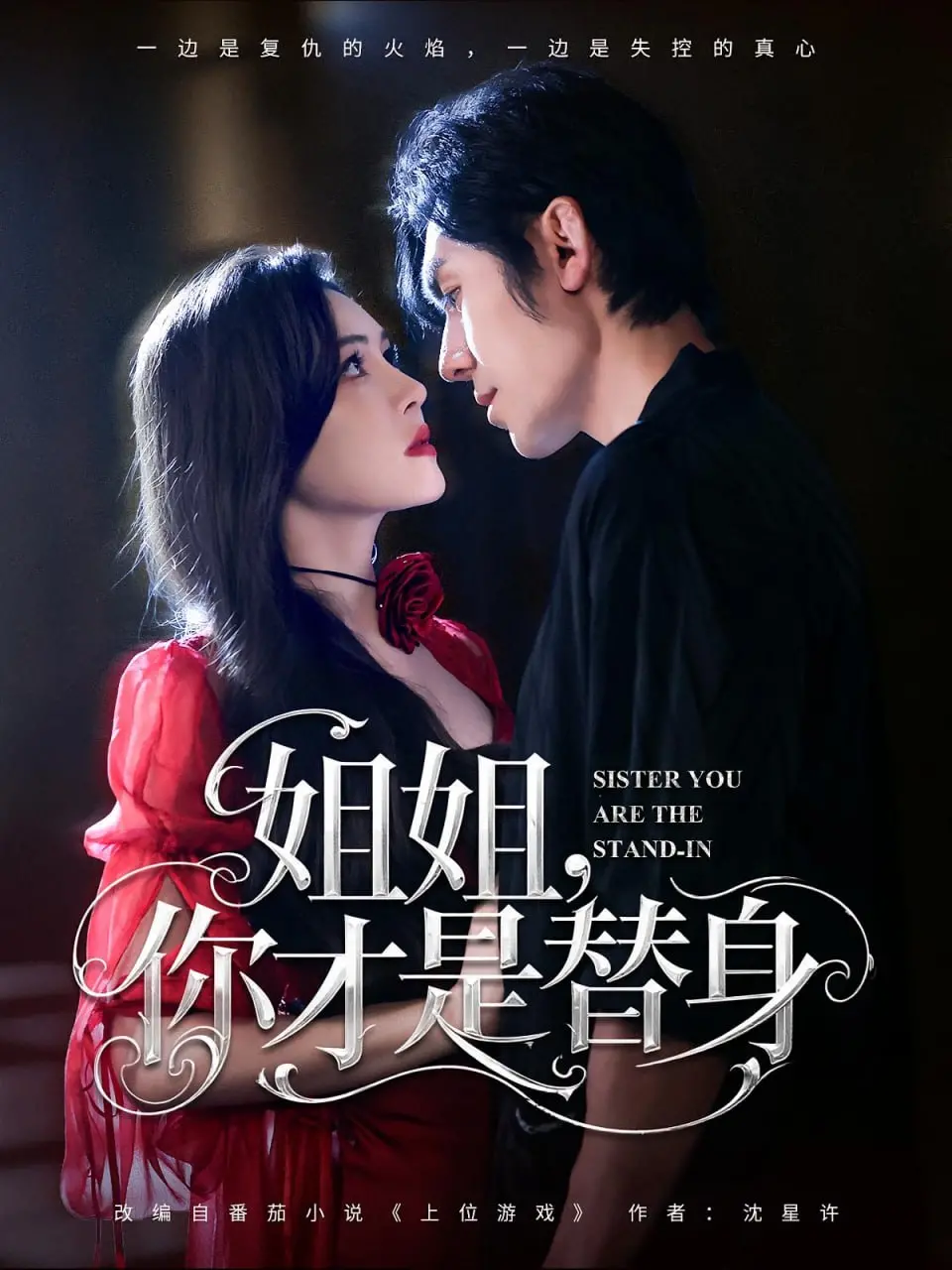 《姐姐你才是替身》：反转不断的爱情迷局，谁才是TA的真命天女？