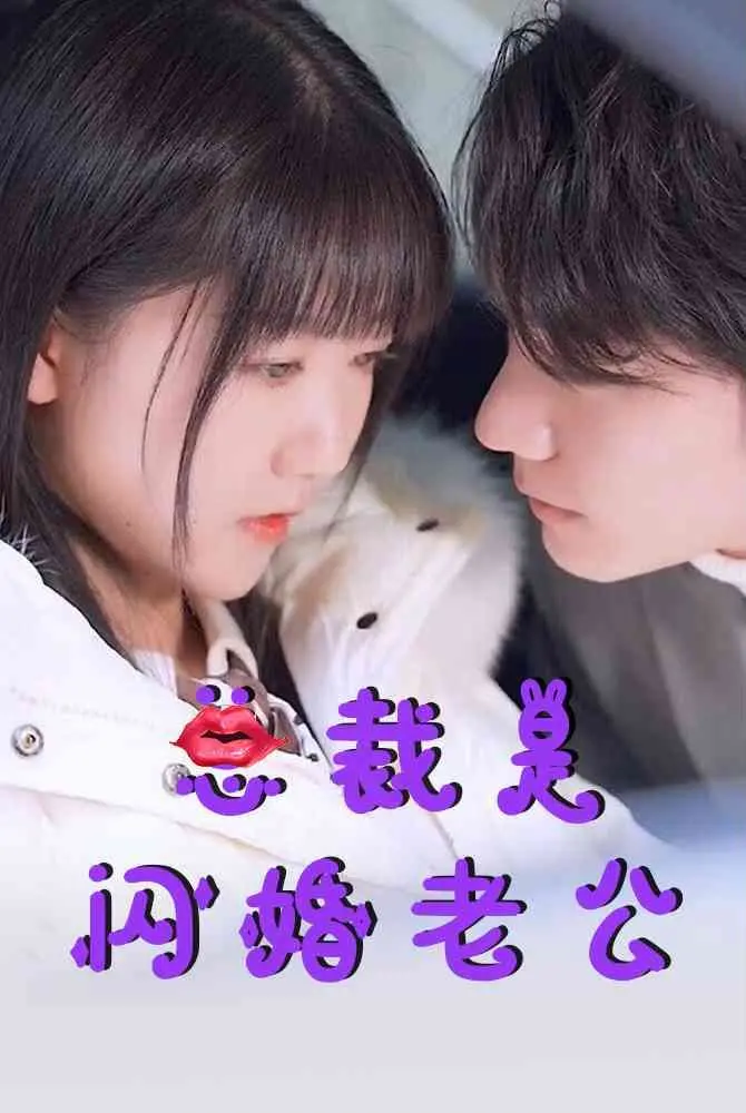 总裁是闪婚老公 海报